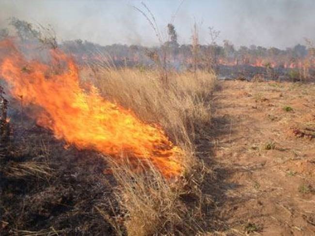 Tρίκαλα: Πολλές πυρκαγιές από την καύση χόρτων
